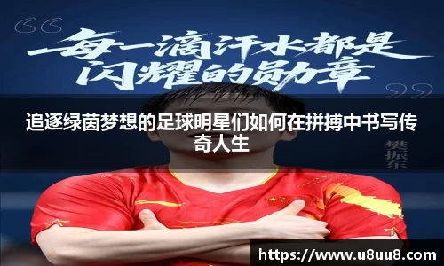 追逐绿茵梦想的足球明星们如何在拼搏中书写传奇人生